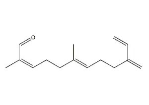 ORANGE OIL.webp