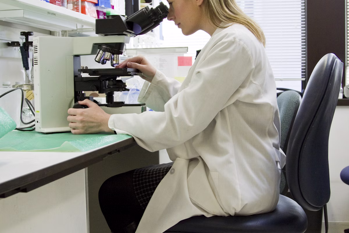 Crospovidone vs PVP (Povidone): Key Differences, Properties & Application Guide