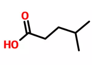 4-Methylvaleric acid CAS 646-07-1