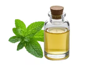 Peppermint oil CAS 8006-90-4