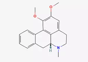 Nuciferine CAS 475-83-2