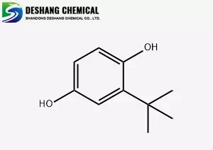 tert-Butylhydroquinone CAS 1948-33-0