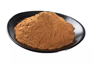 Ginkgo biloba extract CAS 90045-36-6