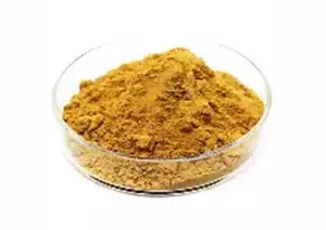 moringa oleifera extrac cas 93165-54-9