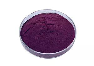 elderberry extract cas 84603-58-7